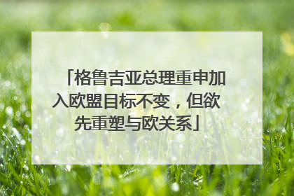 格鲁吉亚总理重申加入欧盟目标不变，但欲先重塑与欧关系