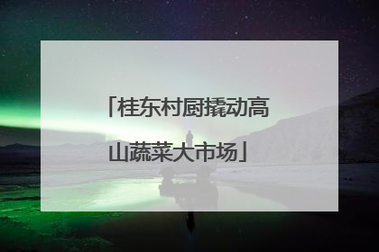 桂东村厨撬动高山蔬菜大市场