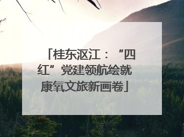 桂东沤江：“四红”党建领航绘就康氧文旅新画卷