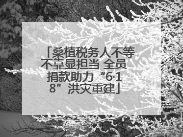 桑植税务人不等不靠显担当 全员捐款助力“6·18”洪灾重建