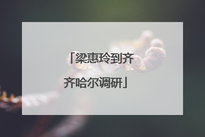 梁惠玲到齐齐哈尔调研