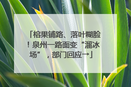榕果铺路、落叶糊脸！泉州一路面变“溜冰场”，部门回应→