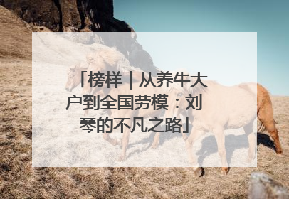 榜样｜从养牛大户到全国劳模：刘琴的不凡之路