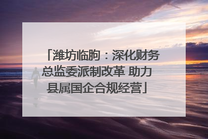 潍坊临朐：深化财务总监委派制改革 助力县属国企合规经营