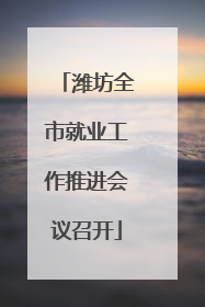 潍坊全市就业工作推进会议召开