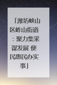 潍坊峡山区岞山街道：聚力集采谋发展 便民惠民办实事
