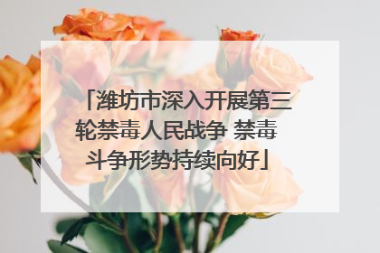 潍坊市深入开展第三轮禁毒人民战争 禁毒斗争形势持续向好