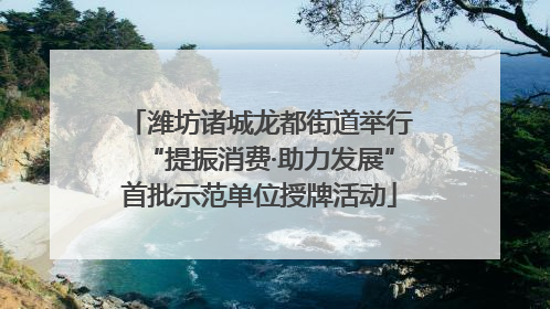 潍坊诸城龙都街道举行“提振消费·助力发展”首批示范单位授牌活动