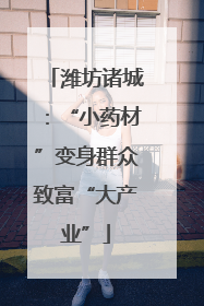 潍坊诸城：“小药材”变身群众致富“大产业”