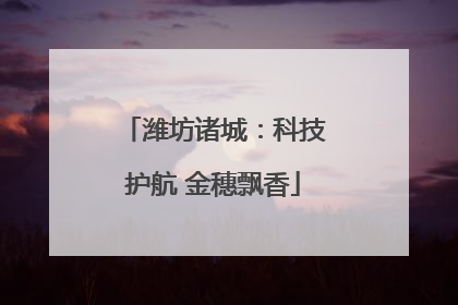 潍坊诸城：科技护航 金穗飘香