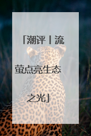潮评丨流萤点亮生态之光