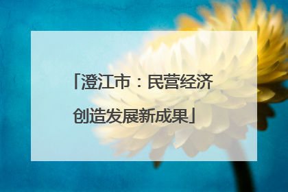 澄江市：民营经济创造发展新成果
