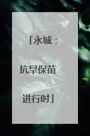 永城：抗旱保苗进行时