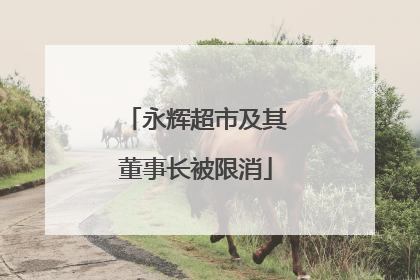 永辉超市及其董事长被限消