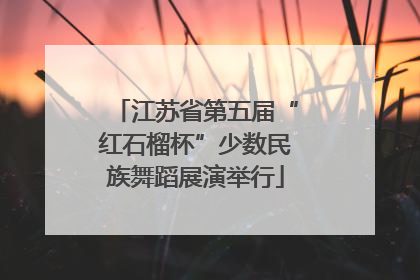 江苏省第五届“红石榴杯”少数民族舞蹈展演举行
