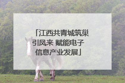 江西共青城筑巢引凤来 赋能电子信息产业发展
