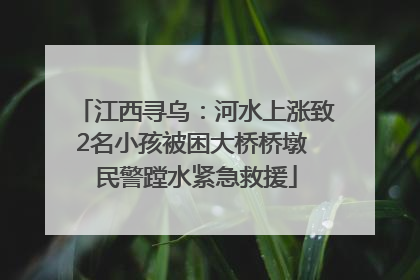 江西寻乌：河水上涨致2名小孩被困大桥桥墩 民警蹚水紧急救援