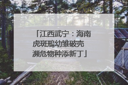 江西武宁：海南虎斑鳽幼雏破壳 濒危物种添新丁