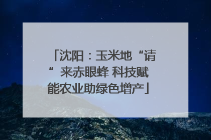 沈阳：玉米地“请”来赤眼蜂 科技赋能农业助绿色增产