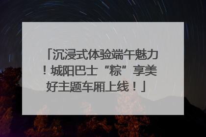 沉浸式体验端午魅力！城阳巴士“粽”享美好主题车厢上线！