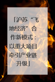 沪苏“飞地经济”合作新模式：以重大项目牵引产业链升级