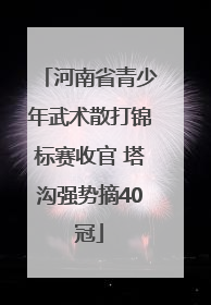 河南省青少年武术散打锦标赛收官 塔沟强势摘40冠