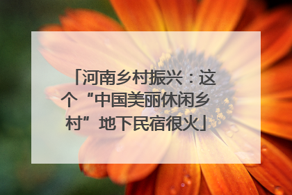 河南乡村振兴：这个“中国美丽休闲乡村”地下民宿很火