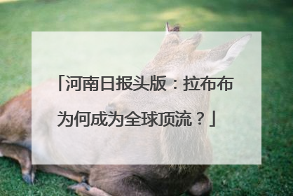 河南日报头版：拉布布为何成为全球顶流？