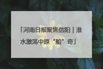 河南日报聚焦信阳｜淮水激荡中原“船”奇