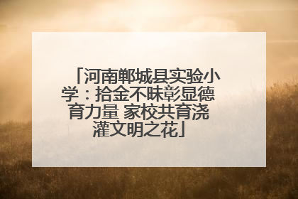 河南郸城县实验小学：拾金不昧彰显德育力量 家校共育浇灌文明之花