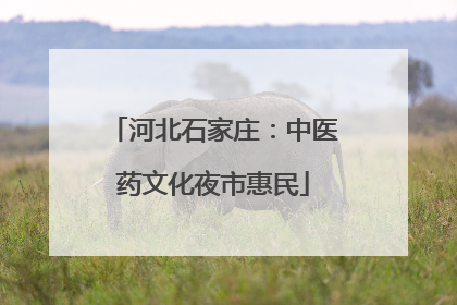 河北石家庄：中医药文化夜市惠民