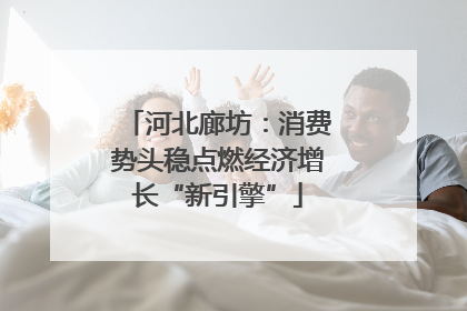 河北廊坊：消费势头稳点燃经济增长“新引擎”