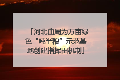 河北曲周为万亩绿色“吨半粮”示范基地创建指挥田机制