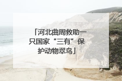 河北曲周救助一只国家“三有”保护动物翠鸟