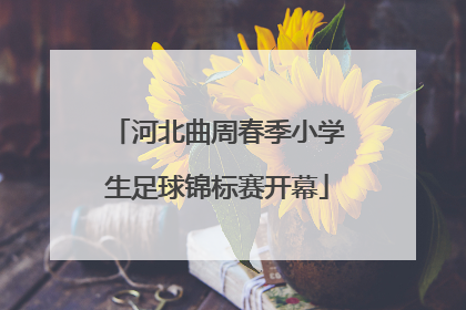 河北曲周春季小学生足球锦标赛开幕