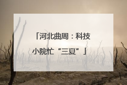 河北曲周：科技小院忙“三夏”