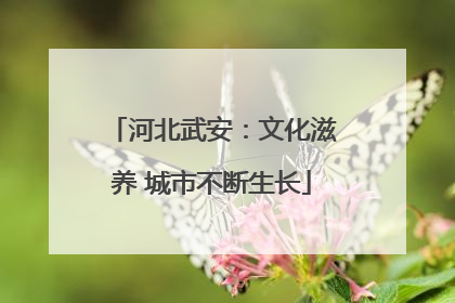 河北武安：文化滋养 城市不断生长