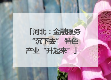 河北：金融服务“沉下去” 特色产业“升起来”