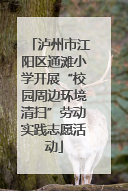 泸州市江阳区通滩小学开展“校园周边环境清扫”劳动实践志愿活动
