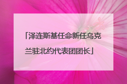 泽连斯基任命新任乌克兰驻北约代表团团长