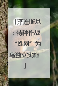 泽连斯基：特种作战“蛛网”为乌独立实施