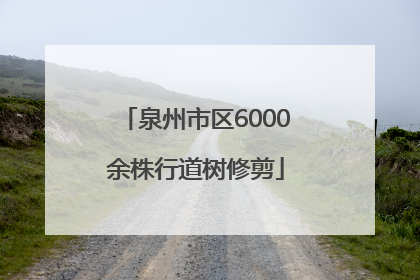 泉州市区6000余株行道树修剪