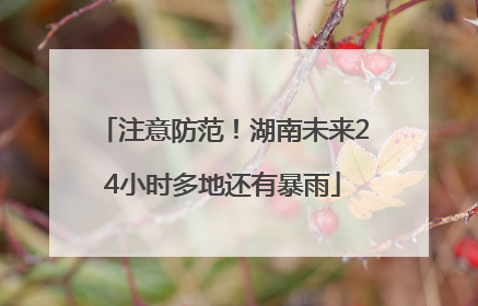 注意防范！湖南未来24小时多地还有暴雨