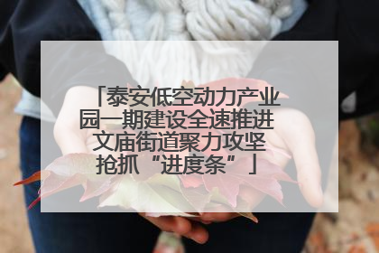 泰安低空动力产业园一期建设全速推进 文庙街道聚力攻坚抢抓“进度条”