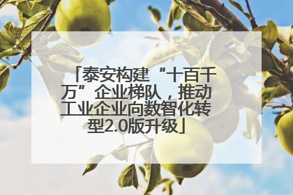 泰安构建“十百千万”企业梯队，推动工业企业向数智化转型2.0版升级