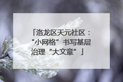 洛龙区天元社区：“小网格”书写基层治理“大文章”