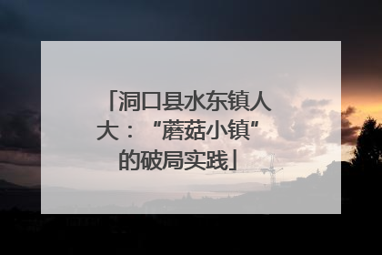 洞口县水东镇人大：“蘑菇小镇”的破局实践