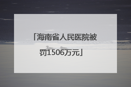 海南省人民医院被罚1506万元