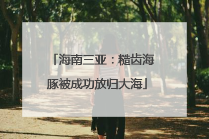 海南三亚：糙齿海豚被成功放归大海