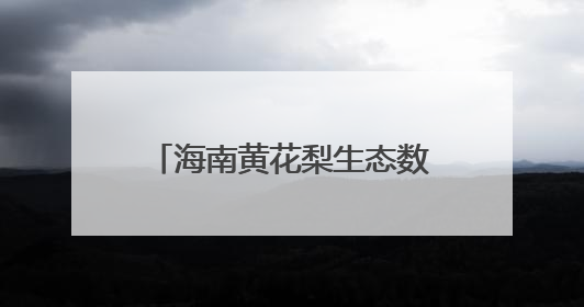 海南黄花梨生态数字经济产业合规发展研讨会在京举办